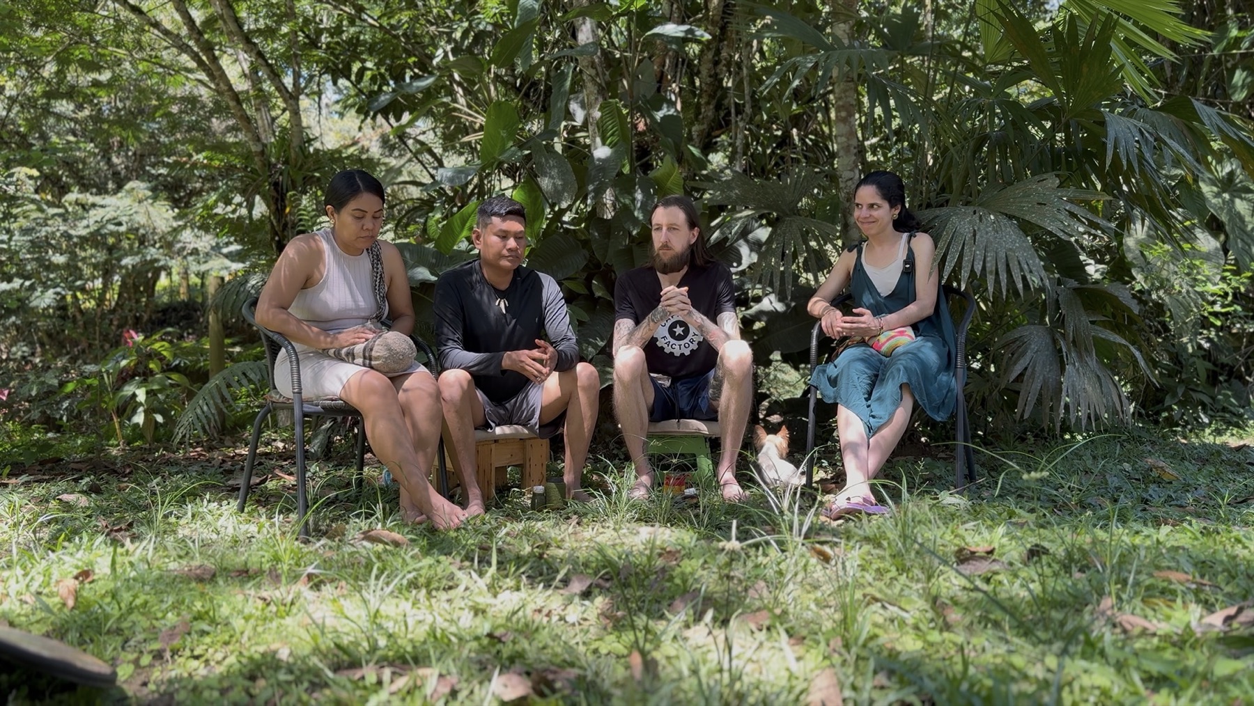 Four people seated together outdoors among the trees