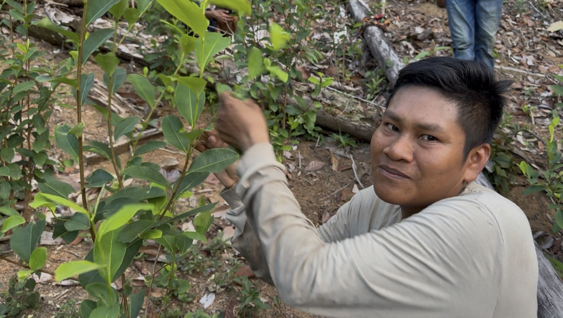 Elder Josafat Castillo Yaci beside a plant on the territory
